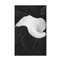 Calla Lilly Blume Leinwand Drucke