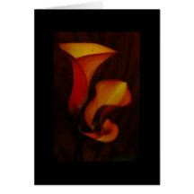 Calla Lilly Grußkarten
