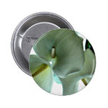 Callalilien-Blumen Anstecknadelbuttons