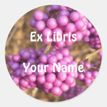 Callicarpa bodinieri (Rosa) - ex Libris Aufkleber