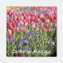 Canberra-Tulpemagnet Magnets