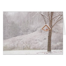 cardinals_in_snow karte
