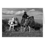 Cariboo Cowboy-Pferde-und Maultier-Geschenke Grußkarten