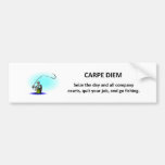 Carpe-diem-ergreifen-d-Tag-und-all-Firmaanlagegüte Autosticker