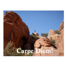 Carpe Diem! Postkarten