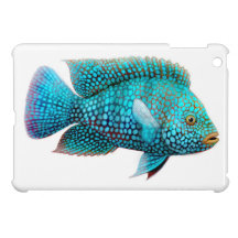 Carpintis Texas Cichlid-Fische iPad Minifall