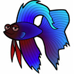 Cartoon Betta Fische/siamesische kämpfende Fische Photo Skulptur