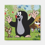 Cartoonmagnet Magnets