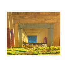 Cascade Canvas Print