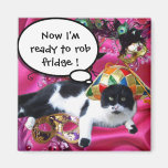 CAT MIT HARLEKIN-HUT-UND MASKERADE-PARTY-MASKEN MAGNETE
