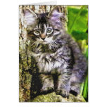 CAT-PORTRÄTS GRUßKARTEN