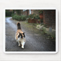 Catitude Mauspad