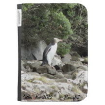 Catlins zünden Kasten an