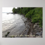 Cayuga See-felsiger Strand Plakat