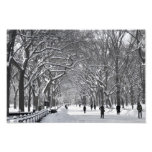 Central Park-Mall-Winter-Szene Fotodrucke