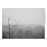 Central Park-Nebel - NYC Grußkarten