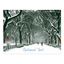 Central Parksnowy-Weg-Gewohnheit Postkarte