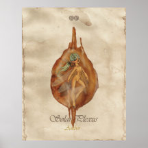 CHAKRA FEE - SOLARplexus Posterdruck