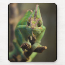 Chamäleon Mousepads
