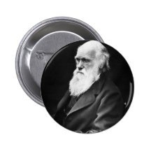 Charles Darwin-Porträt Anstecknadelbuttons