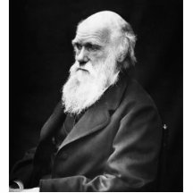 Charles Darwin-Porträt Foto Ausschnitt