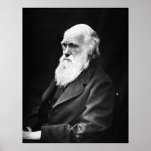 Charles Darwin-Porträt Plakat