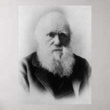 Charles Darwin Posterdruck