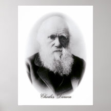 Charles Darwin-Vignette Posterdrucke
