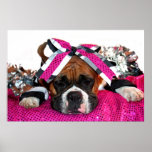 Cheerleader-Boxerhundeplakat