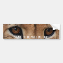 Cheetah Eyes1, RETTEN die WILD LEBENDEN TIERE Autoaufkleber