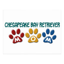 CHESAPEAKE BAY-RETRIEVER Mamma-Tatzen-Druck 1 Postkarten