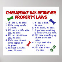 CHESAPEAKE BAY-RETRIEVER PL2 POSTERDRUCKE