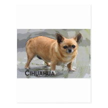 Chihuahua   チワワчихуахуаצ'יוואווה postkarten