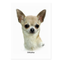 Chihuahua 9P93D-123_2 Visitenkarten