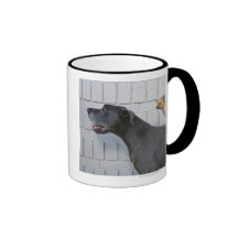 Chihuahua auf der Rückseite der Deutschen Dogge Kaffeetasse