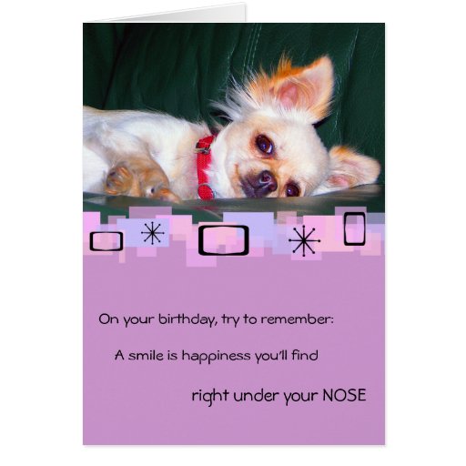 ChihuahuaGeburtstagsGrußKarte Zazzle