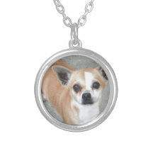 CHIHUAHUA HALSKETTE