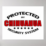 Chihuahua-Hundesicherheit Plakate