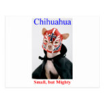 Chihuahua-kleine aber mächtige Zucht Postkarte