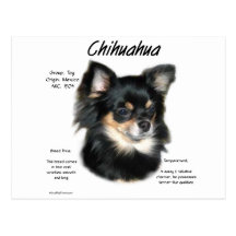 Chihuahua-(langer) Geschichtsentwurf Postkarte