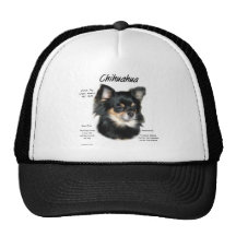 Chihuahua-(langer) Geschichtsentwurf Retrocap