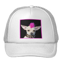 Chihuahua-Punk Baseball Kappen