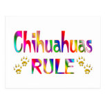Chihuahua-Regel Postkarte