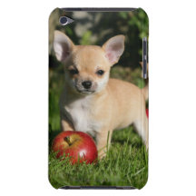 Chihuahua-Welpe mit Äpfeln iPod Case-Mate Case