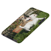 Chihuahua-Welpen-Spielen Case-Mate iPod Touch Case