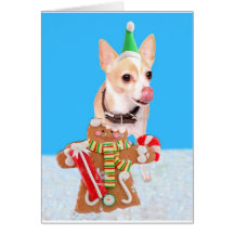 Chihuahuahund, der Lebkuchenmann isst Grußkarten
