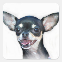 Chihuahuahund Quadrataufkleber