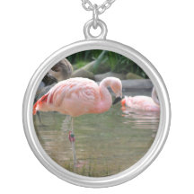 Chilenischer Flamingo Selbst Gestalteter Schmuck