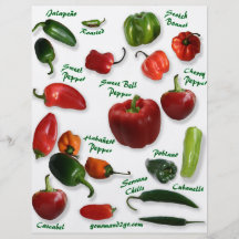 Chili-Vielzahl Individuelle Flyer