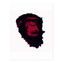 CHIMPANZEES ARE AMAZING POST CARD